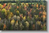 quebec * 720 x 479 * (175KB)